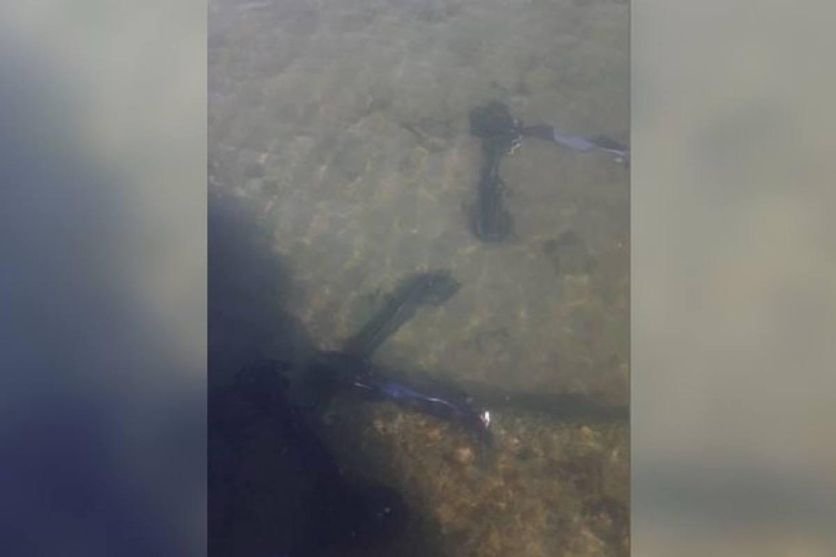 После вмешательства прокуратуры со дна Байкала подняли три электросамоката