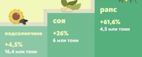 В 2022 году аграрии России собрали 29,1 млн тонн масличных