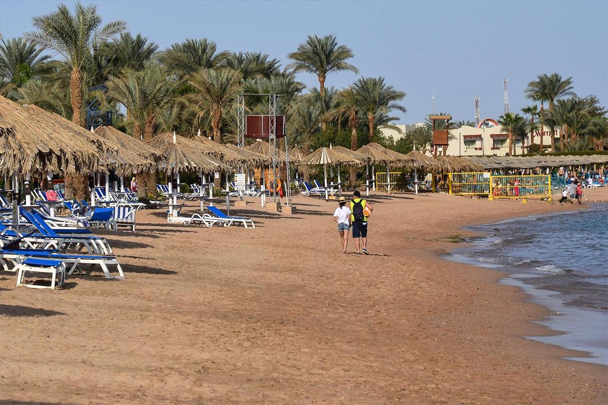 Туристы остались без пляжного отдыха в Египте из-за медуз