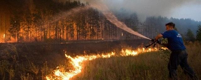 В Хабаровском крае зафиксировали три действующих лесных пожара