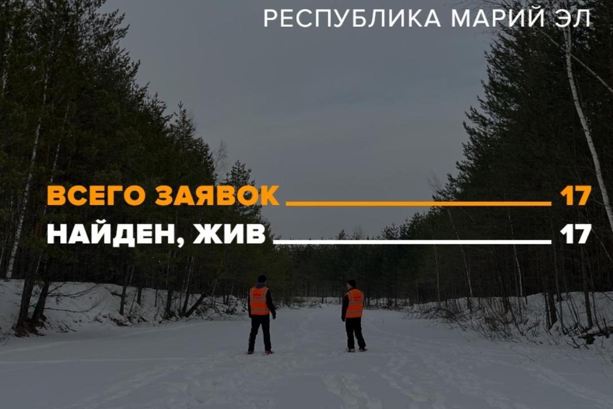 Новогоднее чудо в Марий Эл: все пропавшие в декабре найдены живыми