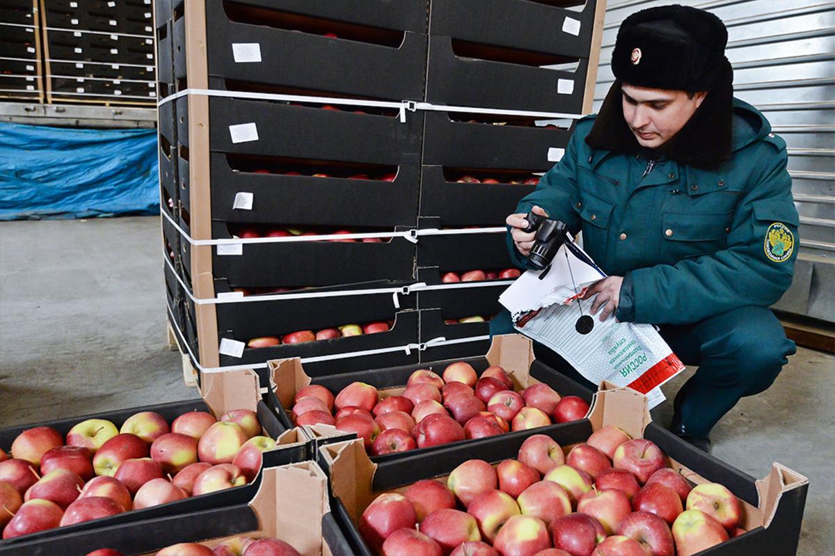 За 9 месяцев в Кузбасс импортировали более 6 тысяч продукции