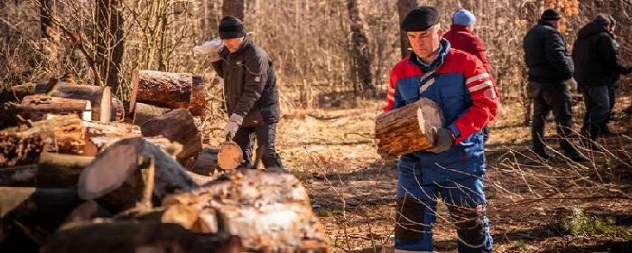 Жителей Курской области приглашают на заготовку дров для участников СВО