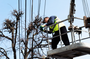 Глава Чебоксар Станислав Трофимов призвал жителей присоединиться к уборке города в рамках месячника по благоустройству