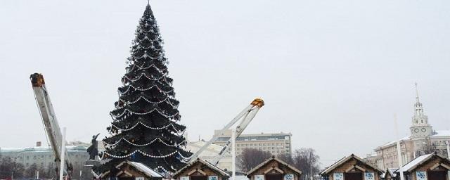 В Воронеже главную городскую елку взяли под круглосуточную охрану