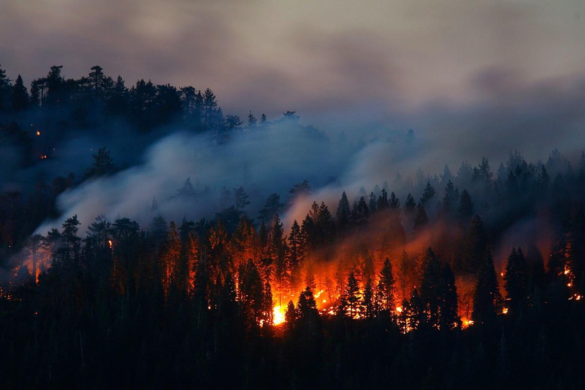 В Приморском крае потушили шесть из семи природных пожаров