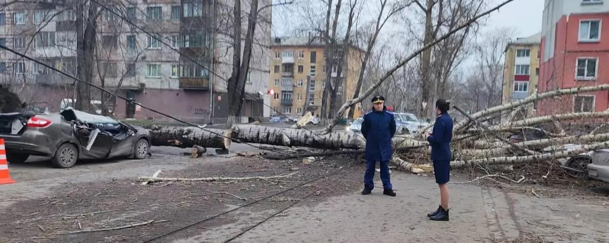 Климатолог Родин предрек рост числа экстремальных погодных явлений в России