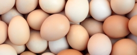 Диетолог Лорен Манакер: Яйцо является главным белком для ежедневного меню