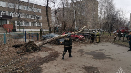 В Сибири десятки тысяч жителей остались без света из-за непогоды