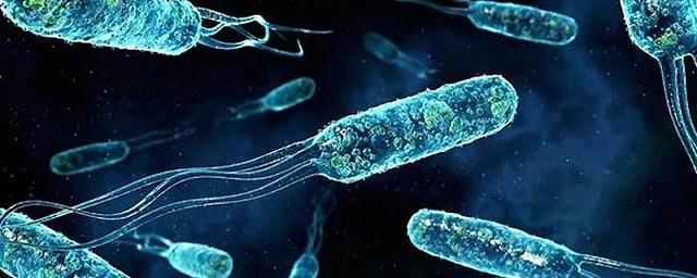 Установлены процессы мутации смертельно опасных бактерий