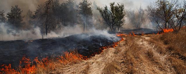 В Забайкалье лесные пожары охватили площадь 3200 га