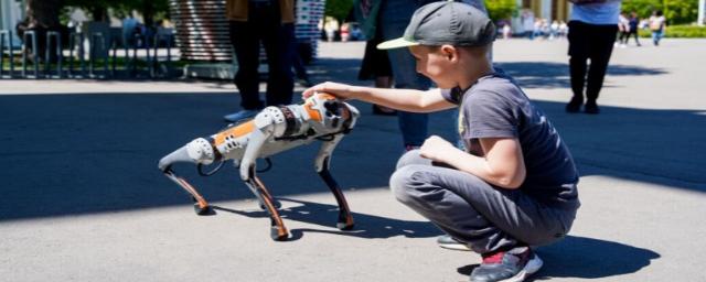 В Московском зоопарке с собакой-роботом будут знакомить животных и посетителей