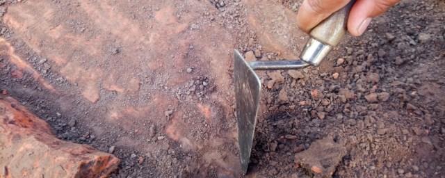 В Волгоградской области археологи обнаружили стоянку древнего человека