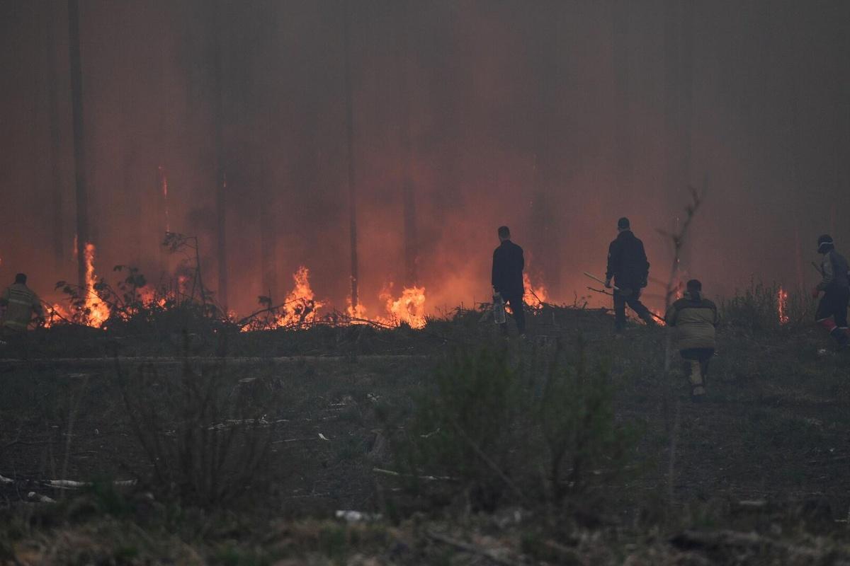 Александр Моор: Противопожарный режим в регионе продлен до 26 июня