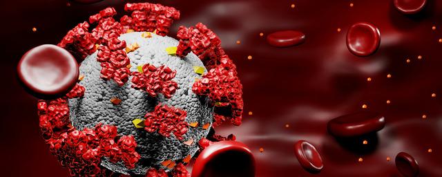 N-tv: ученые доказали лабораторное происхождение коронавируса