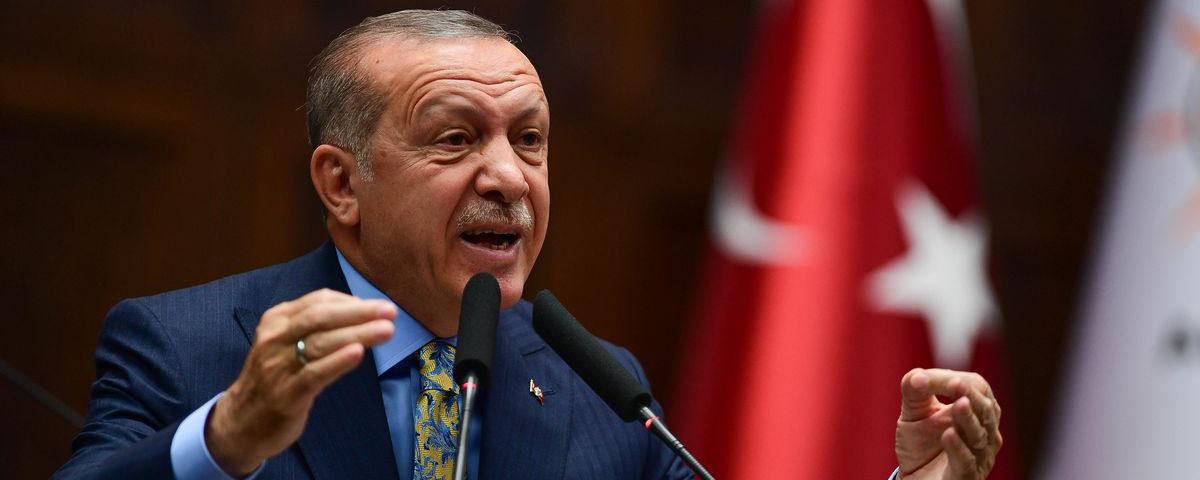 Эрдоган «проклял» правительство Австрии из-за поднятого флага Израиля