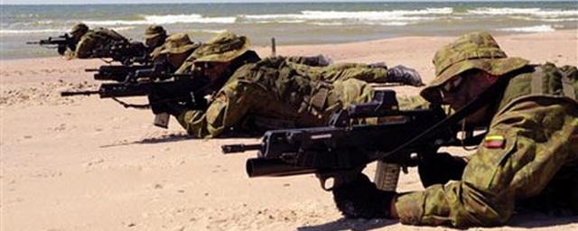 В Литве готовят партизанские отряды на случай российской агрессии