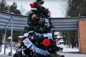 Новогодняя ель из Марий Эл поборется за титул «Елки России»