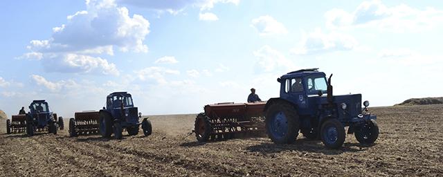 Фермеры Октябрьского района посеяли более 300 гектаров ячменя