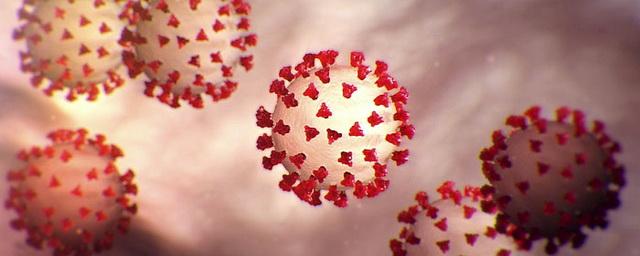 Минздрав: коронавирус способен поражать ЦНС