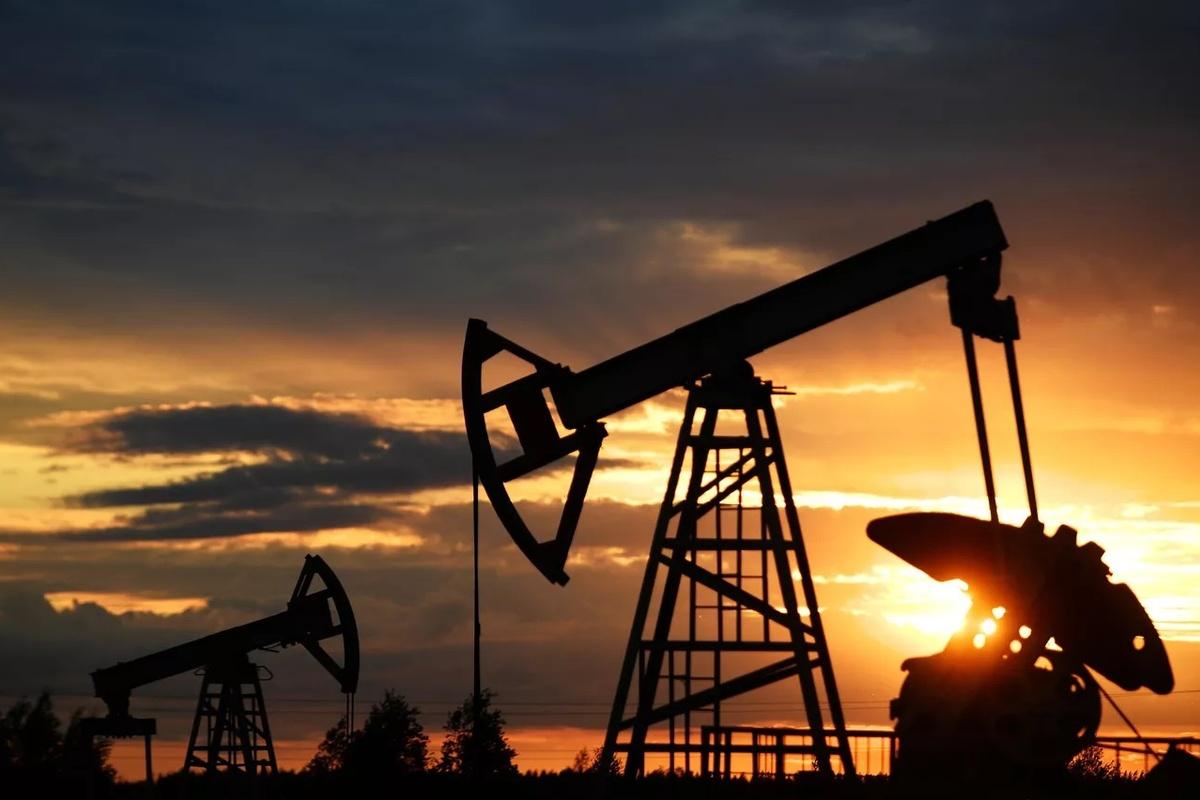 В Индии напомнили Трампу, в чьих интересах Дели закупает энергоносители