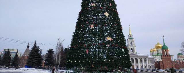 В Туле стартовал демонтаж главной городской елки