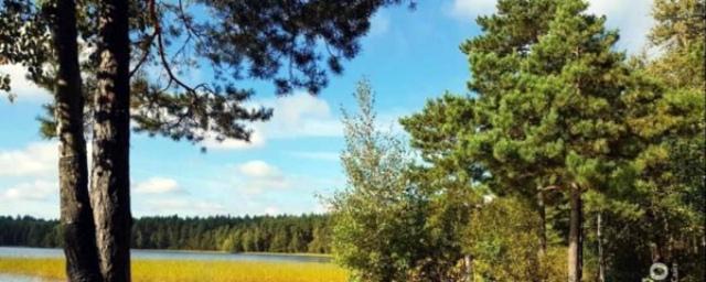 В Рязанском районе завершена расчистка Ласковского озера