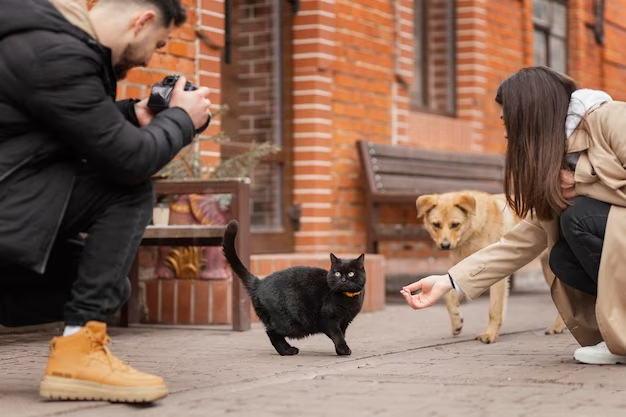 Эпидемиолог Лебедев предупредил о риске заражения инфекцией при фотографировании с уличными животными