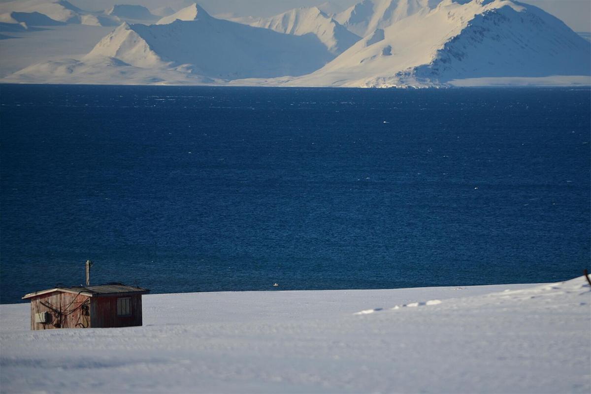 Разработанный в Новосибирске материал для укрепления дорог прошел испытания