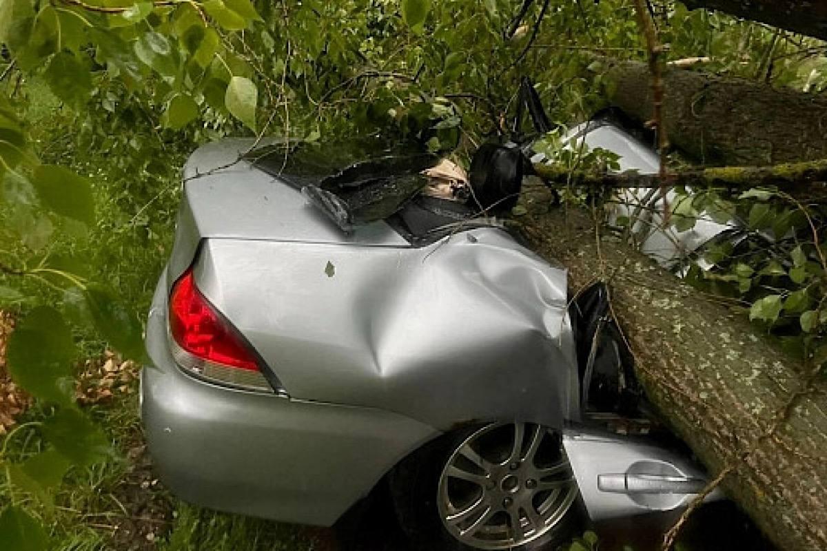 Синоптики прогнозируют новый ураган в Ивановской области