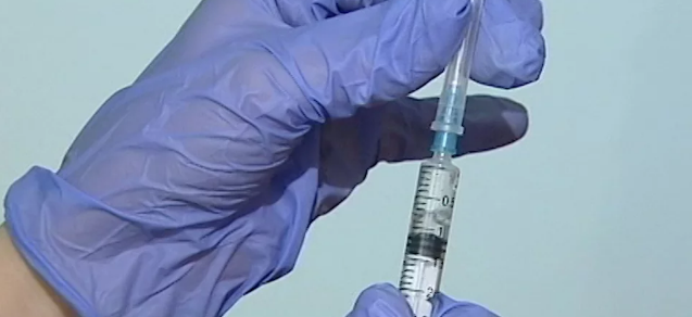 В Севастополе стартовала вакцинация против клещевого энцефалита