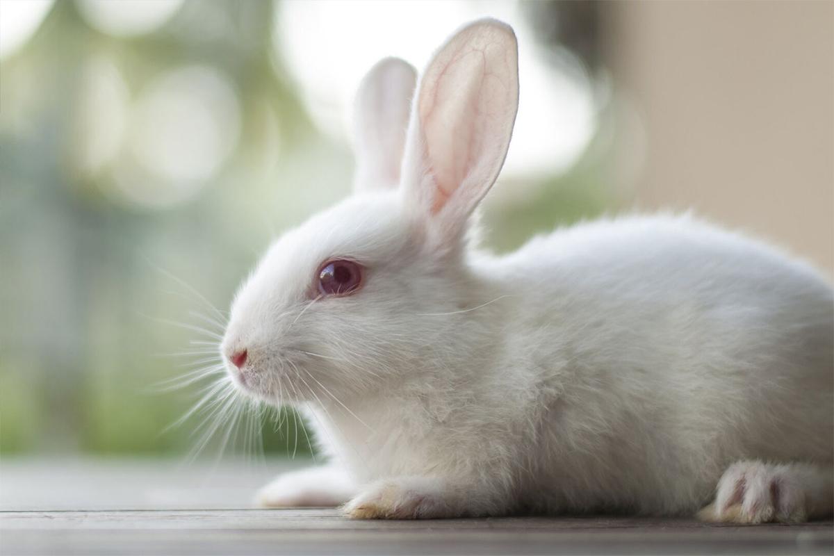 В США самолет экстренно сел из-за возгорания двигателя