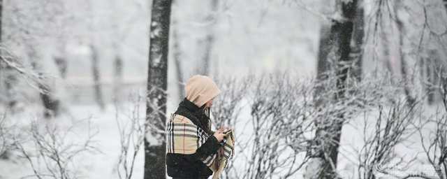 В Гидрометцентре рассказали, какой будет зима