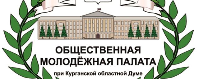 Общественная молодежная палата получила право разрабатывать законы