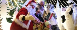 Жителей Дмитровского округа в праздники ожидала насыщенная развлекательная программа