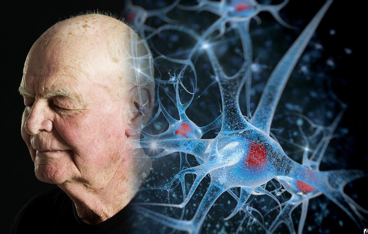 Эксперт назвала профилактические меры, которые могут свести к минимуму риски начала болезни Альцгеймера