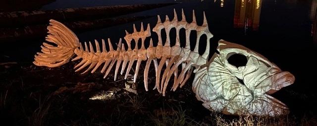 На берегу Исети в Екатеринбурге нашли скелет пятиметровой рыбы