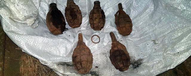 Шесть гранат времен ВОВ обнаружили у сквера в Репино