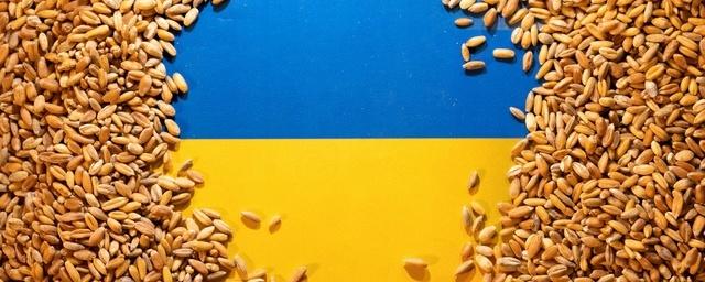 Профессор Артышак назвал шокирующими объёмы ввозимого в Польшу украинского зерна