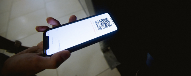 St. Petersburg authorities consider possible introduction of QR-codes better than lockdown