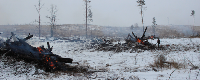 Депутаты: Домыслы вокруг ситуации с лесными пожарами — неприемлемы