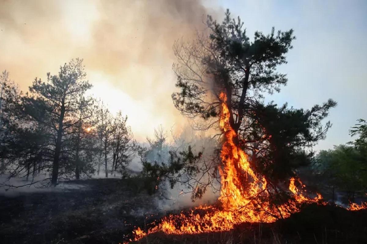 В районах Красноярского края отменили действие особого противопожарного режима