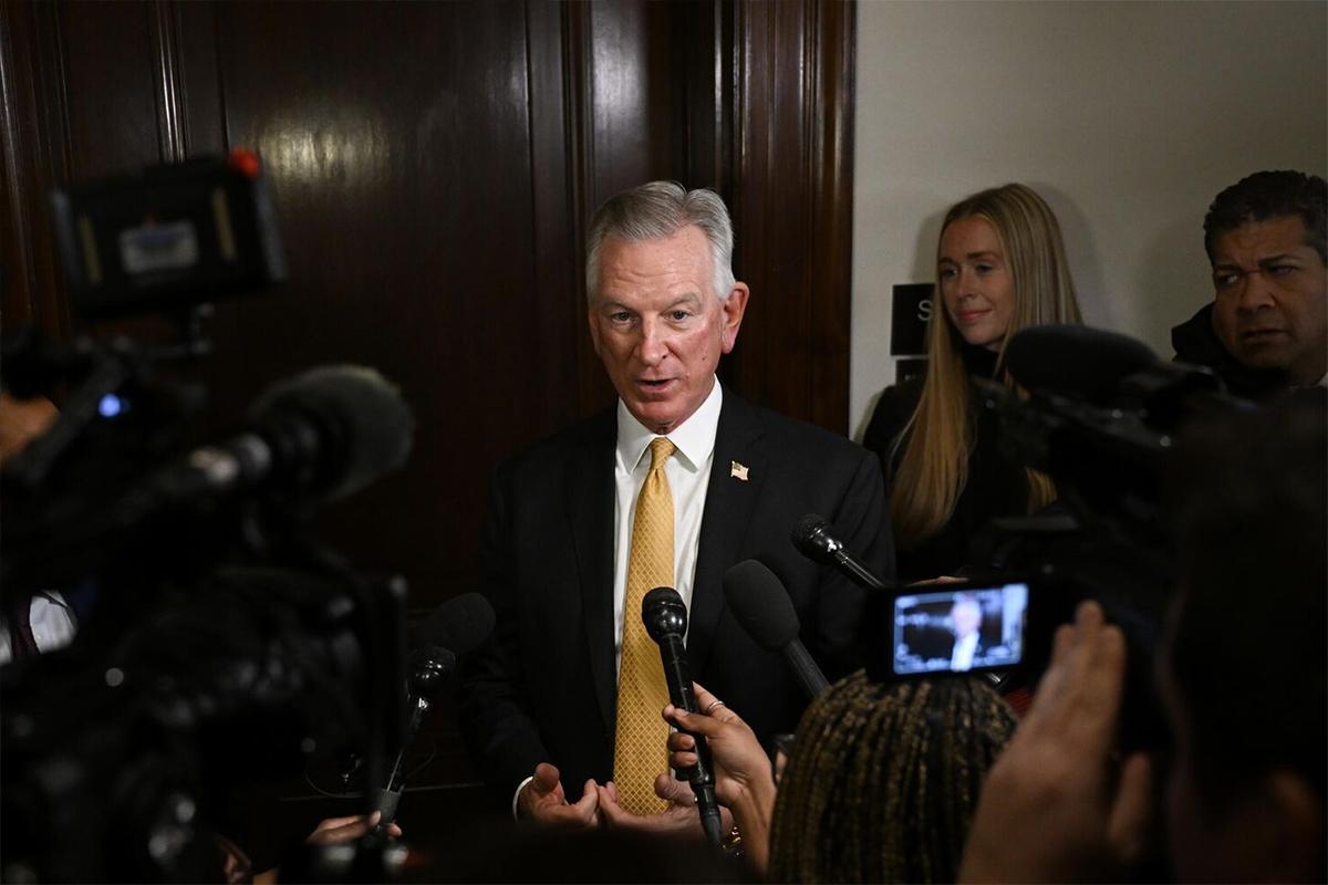 Американский сенатор Табервилл заявил, что Зеленский пытается втянуть НАТО в конфликт с Россией