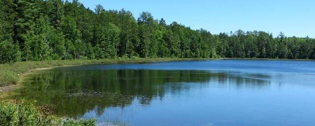 Кластер «Обские парки» и три озера Новосибирской области включат в Банк земли для туризма