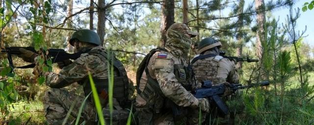 Российские военные сорвали попытку наступления украинских штурмовиков под Клещеевкой в ДНР