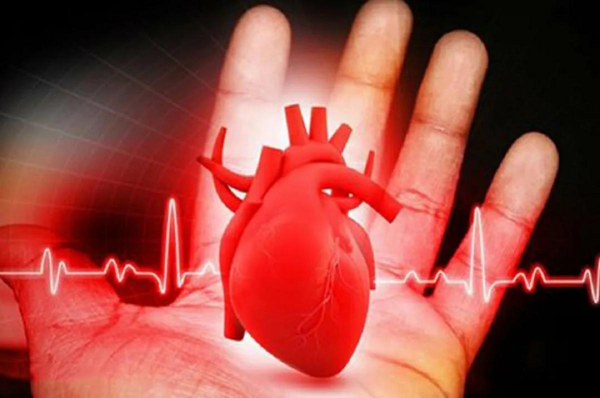 Почему скачет давление? Советы по определению причин гипертонии. Берегитесь опасных ошибок