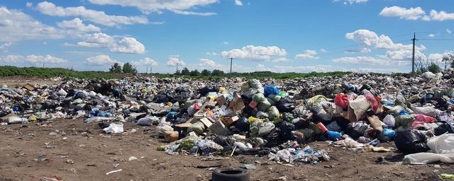 Возле новосибирского аэропорта найдена опасная мусорная свалка