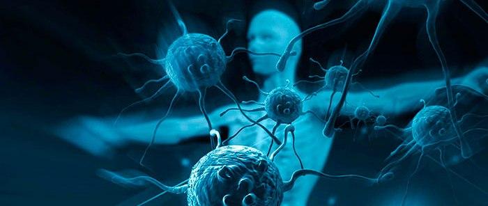Российские ученые изучат взаимодействие иммунитета с раком