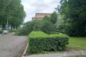 СК начал проверку после травмирования петербуржцев упавшими деревьями