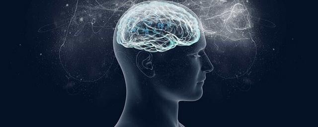 Ученые продемонстрировали, как работает мозг при мыслительном процессе